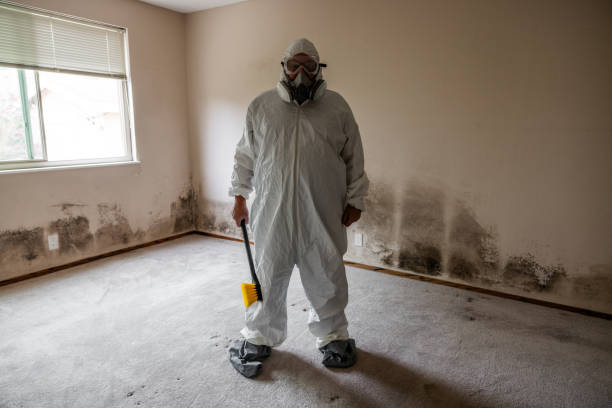 Forensic Mold Investigation in Rosenhayn, NJ